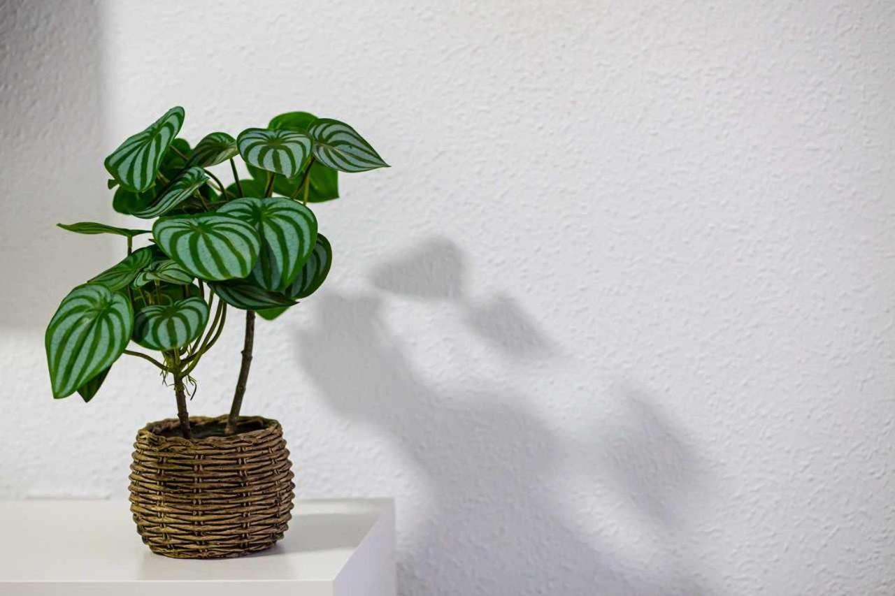 Apartamento Heroes De Sostoa Malaga Bagian luar foto